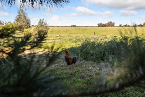 Photo of property in 26 Criglingtons Road, Sefton, 7477