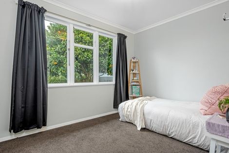 Photo of property in 51 Lincoln Street, Ashhurst, 4810