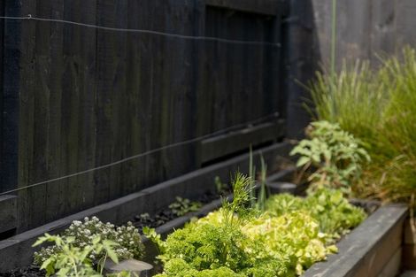 Photo of property in 73 Bert Wall Drive, Omokoroa, 3114