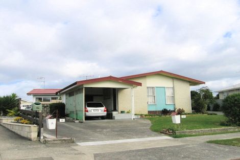 Photo of property in 17 Plunket Street, Tamatea, Napier, 4112