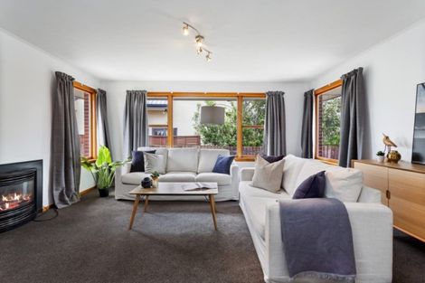 Photo of property in 335 Selwyn Street, Addington, Christchurch, 8024