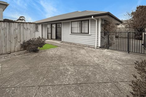 Photo of property in 169 Ruahine Street, Roslyn, Palmerston North, 4414