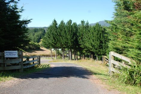 Photo of property in 598b Wright Road, Aongatete, Katikati, 3181