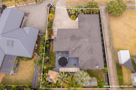 Photo of property in 31 Wells Place, Whitianga, 3510