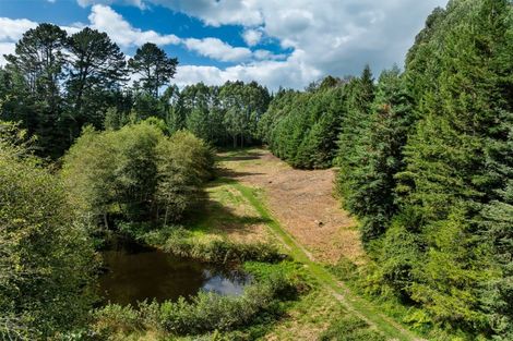 Photo of property in 217 Soldiers Road, Lower Kaimai, Tauranga, 3171