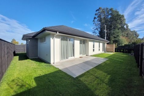 Photo of property in 63 Lincoln Road, Carterton, 5713