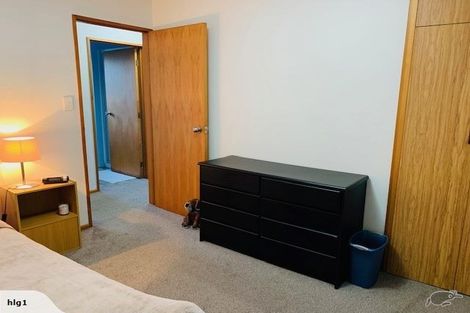 Photo of property in 60b Halswell Road, Hillmorton, Christchurch, 8025