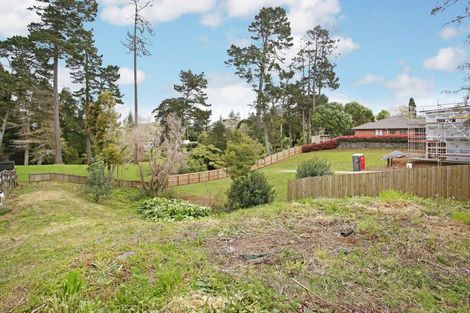 Photo of property in 70c Prospect Terrace, Pukekohe, 2120