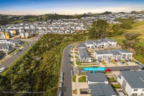 Photo of property in 12 Karoro Road, Flat Bush, Auckland, 2019