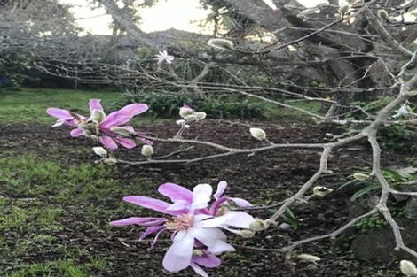 Photo of property in 21 Karaka Street, New Lynn, Auckland, 0600