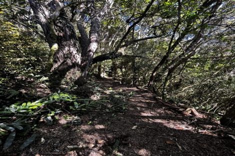 Photo of property in 24 Fred Hollows Way, Glenleith, Dunedin, 9010