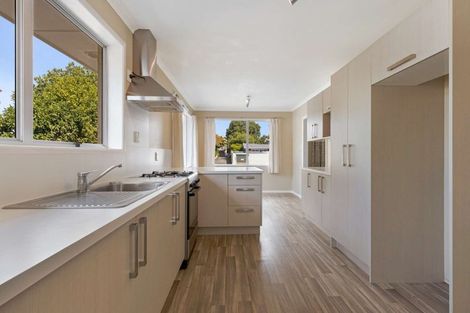 Photo of property in 40 Leefield Street, Blenheim, 7201