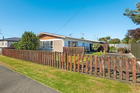Photo of property in 318a Ormond Road, Mangapapa, Gisborne, 4010