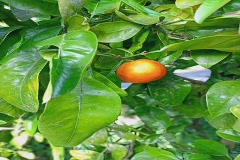 Photo of property in 102 Waitetuna Valley Road, Waitetuna, Raglan, 3295