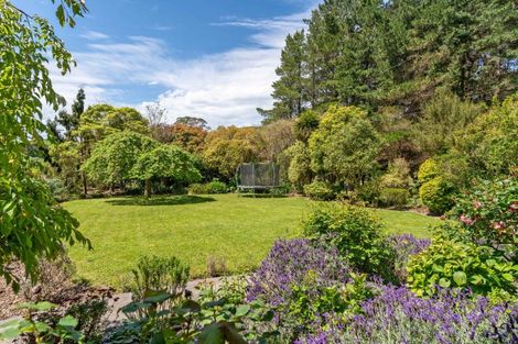 Photo of property in 839 Whangaehu Valley Road, Whangaehu Valley, Masterton, 5886