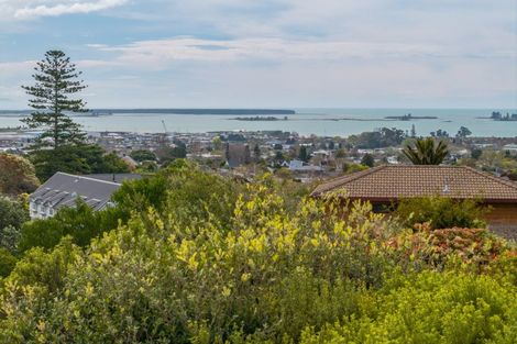 Photo of property in 10 George Kidd Street, Richmond, 7020