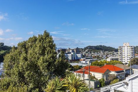 Photo of property in 114 Wallace Street, Mount Cook, Wellington, 6021