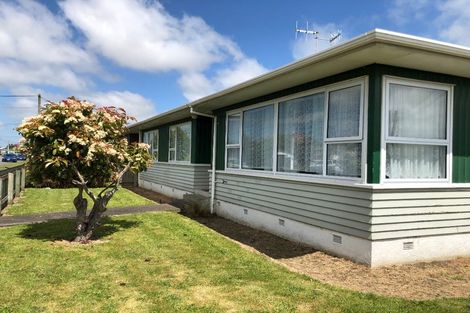 Photo of property in 21 Mako Mako Road, Levin, 5510