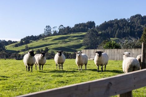 Photo of property in 1331 Whangaripo Valley Road, Whangaripo, Wellsford, 0972