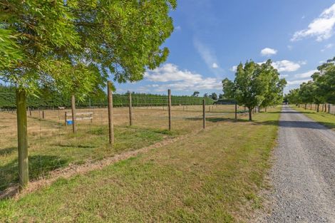 Photo of property in 1217 Hoskyns Road, Kirwee, Christchurch, 7671