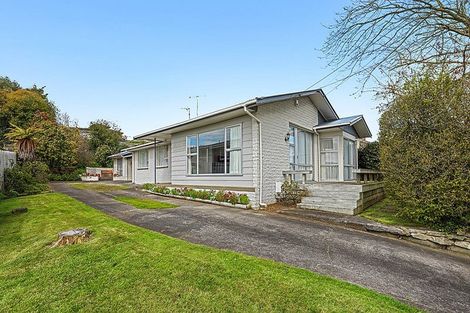 Photo of property in 12 Thomson Avenue, Dinsdale, Hamilton, 3204