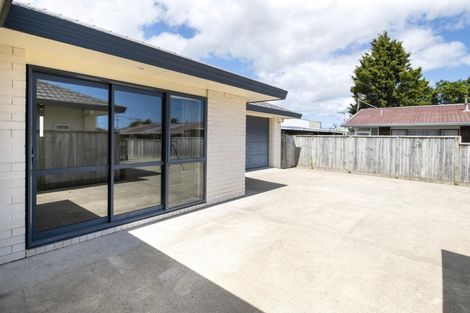 Photo of property in 46a Salisbury Street, Levin, 5510
