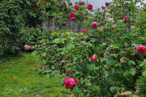 Photo of property in 10 Franklin Road, Paparoa, 0571