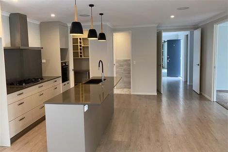 Photo of property in 14 Makatiti Street, Pukekohe, 2120