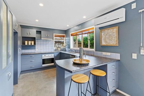 Photo of property in 13e Wellington Street, Hamilton East, Hamilton, 3216