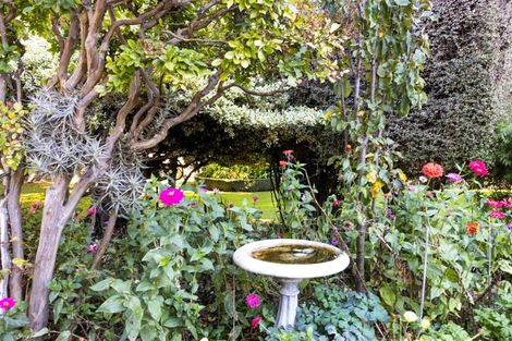 Photo of property in 8 Whitney Street, Blenheim, 7201