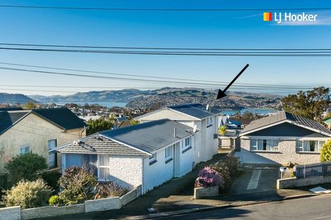 Photo of property in 49b English Avenue, Mornington, Dunedin, 9011