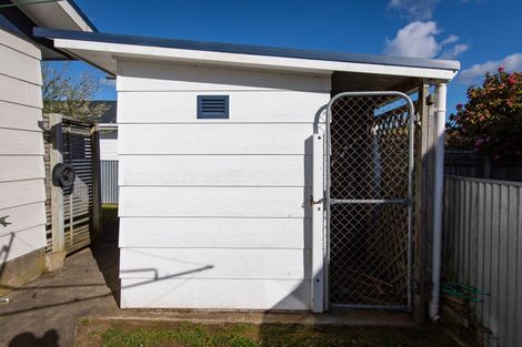 Photo of property in 46 Allardice Street, Dannevirke, 4930