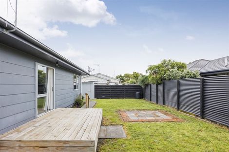 Photo of property in 113c Denbigh Street, Feilding, 4702