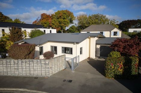 Photo of property in 8 Church Lane, Merivale, Christchurch, 8014