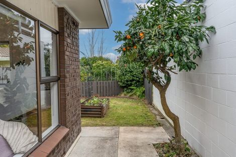 Photo of property in 21a Chelsea Place, Chartwell, Hamilton, 3210