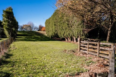 Photo of property in 227 Wairoa Road, Minden, Tauranga, 3171