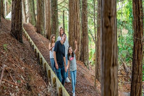 Photo of property in 40 Paparahi Place, Wainui, 0992