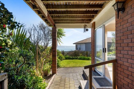 Photo of property in 19 Roslyn Road, Bluff Hill, Napier, 4110