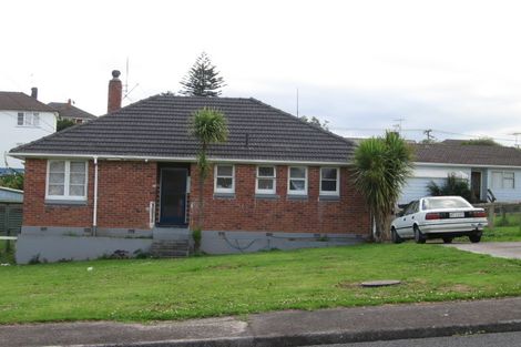 Photo of property in 47 Tunis Road, Panmure, Auckland, 1072