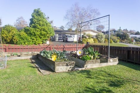 Photo of property in 49 Norwood Road, Paeroa, 3600