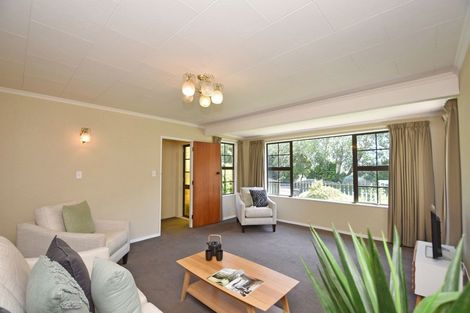 Photo of property in 39 Layard Street, Windsor, Invercargill, 9810