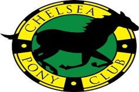 Photo of property in 1/22 Hobby Avenue, Birkdale, Auckland, 0626