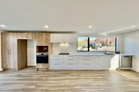 Photo of property in 17a Roxburgh Street, Sydenham, Christchurch, 8023