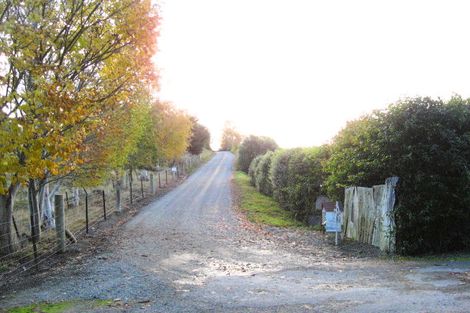 Photo of property in 44 Falcon Street, Palmerston, 9430