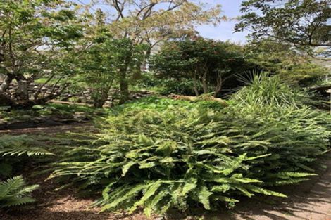 Photo of property in 46 Wellington Road, Paekakariki, 5034