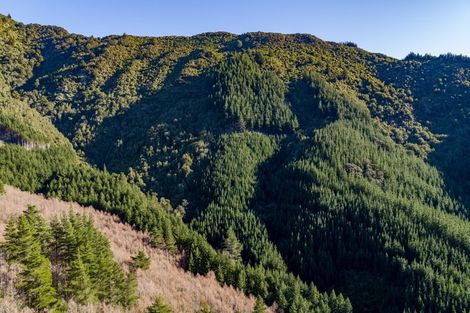 Photo of property in 188 Tapps Road, Canvastown, Havelock, 7178