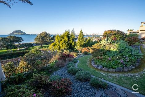 Photo of property in 151 Ngatai Road, Otumoetai, Tauranga, 3110