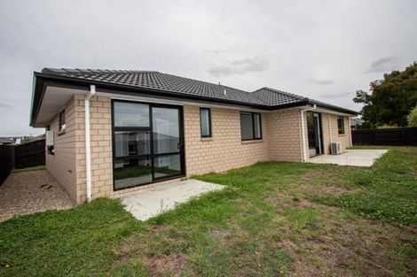 Photo of property in 41 Ladeira Place, Fitzroy, Hamilton, 3206