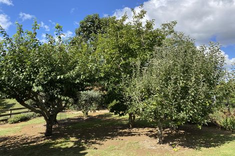 Photo of property in 146 Horeke Road, Okaihau, 0475