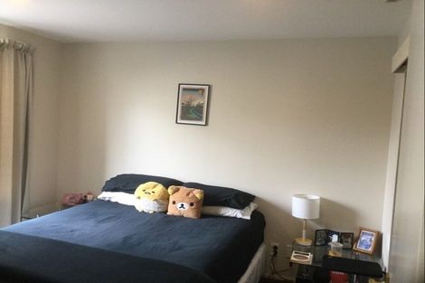 Photo of property in Courtenay Apartments, 206/120 Courtenay Place, Te Aro, Wellington, 6011